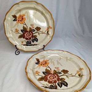 Set of 2 Mikasa Garden Club Imperial Garden Dinner Plates